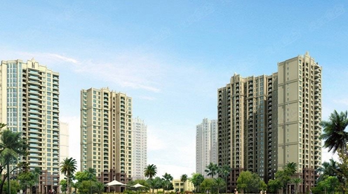 为何XG后海南房价还在高涨