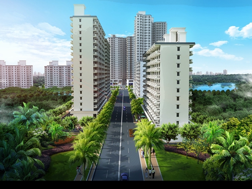 海南全域XG政策