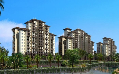 目鱼炒花菜怎么炒好吃视频 目鱼炒花菜怎么炒好吃视频